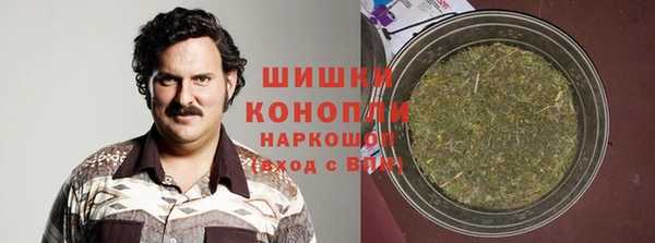мет Бородино