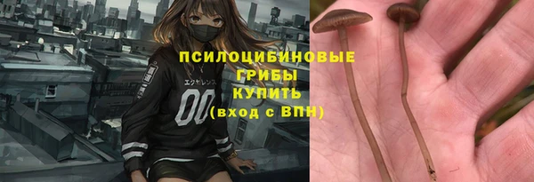 мет Бородино